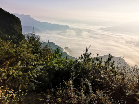 高山云海