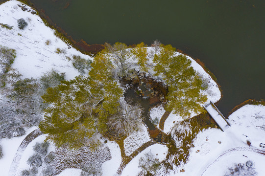凤凰苑植物园雪景
