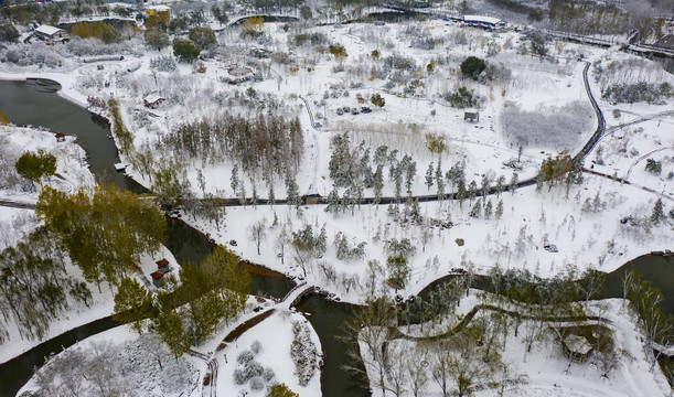 凤凰苑植物园雪景