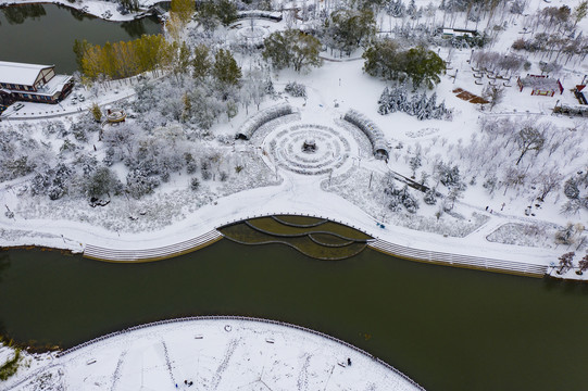 凤凰苑植物园雪景