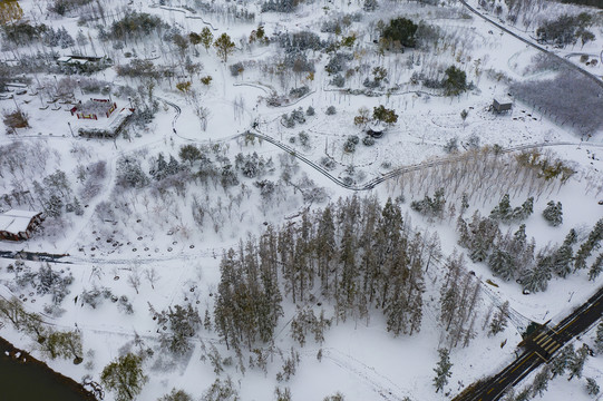 凤凰苑植物园雪景