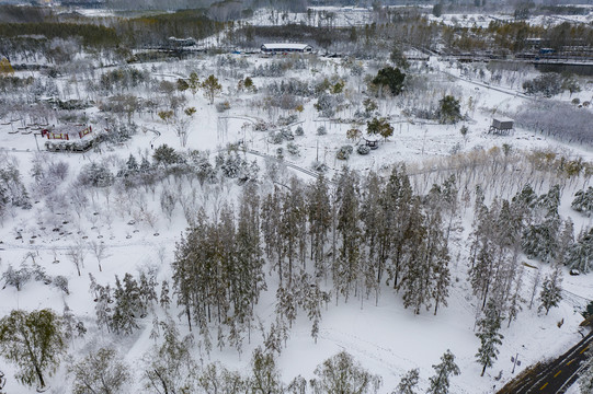 凤凰苑植物园雪景