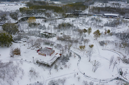 凤凰苑植物园雪景