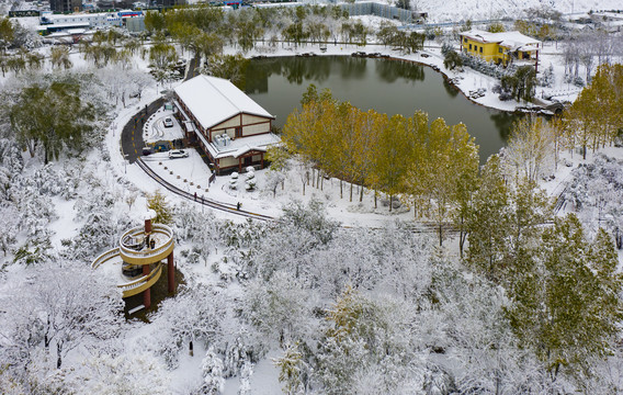 凤凰苑植物园雪景