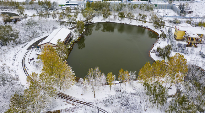 凤凰苑植物园雪景