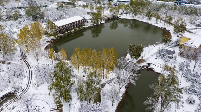 凤凰苑植物园雪景