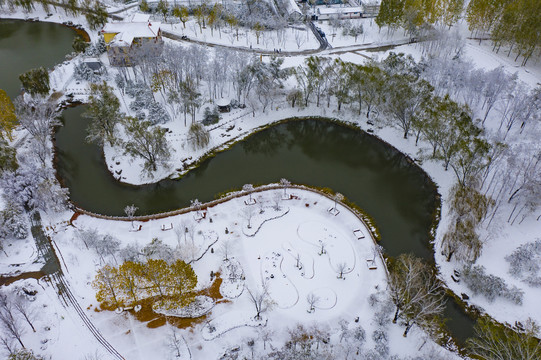 凤凰苑植物园雪景