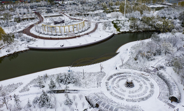 凤凰苑植物园雪景