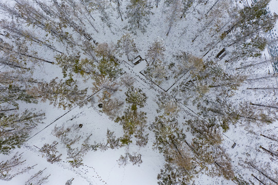 植物园雪景