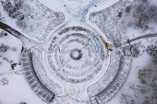 植物园雪景
