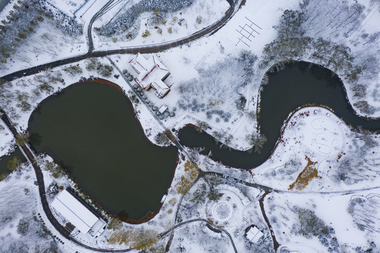 植物园雪景