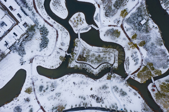 植物园雪景