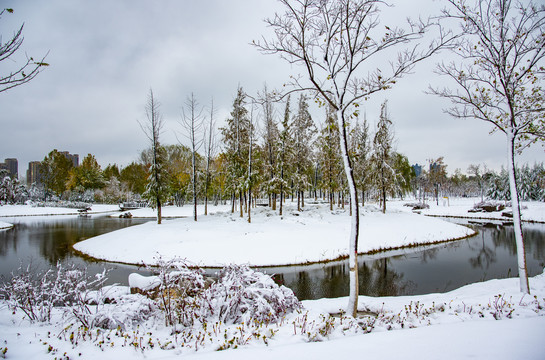 植物园雪景