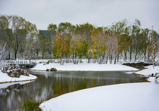 植物园雪景