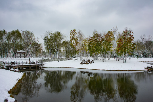 植物园雪景