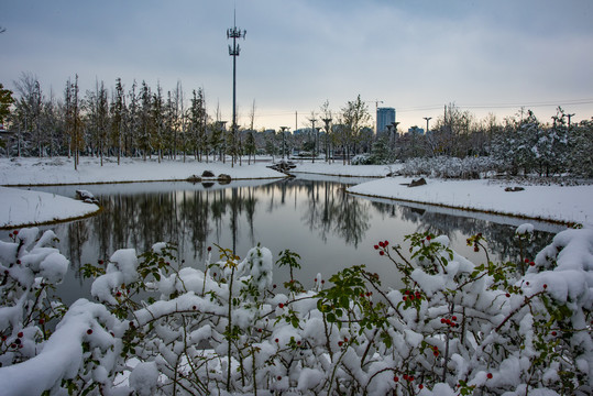 植物园雪景