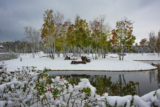植物园雪景