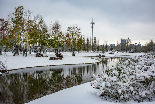植物园雪景