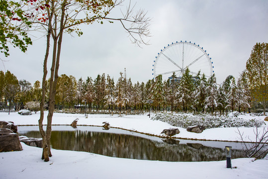 植物园雪景