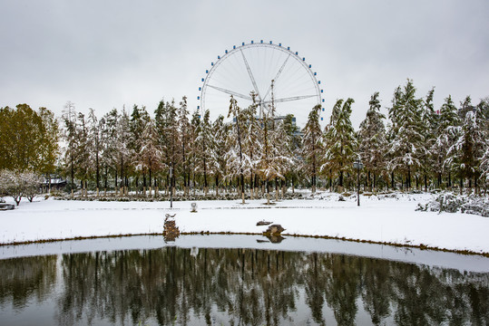 植物园雪景