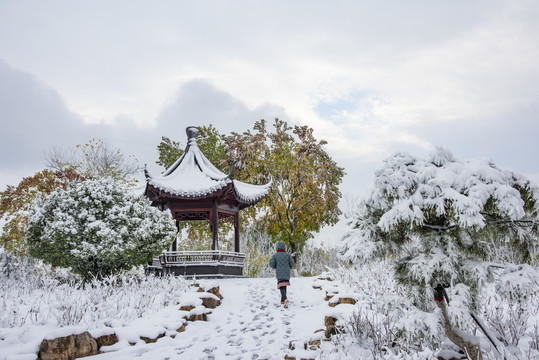 植物园雪景