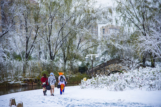 雪中游园