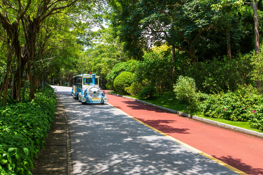 南宁青秀山风景区游览步道