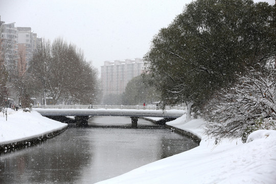 雪中风景