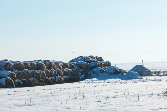 冬季草原牧场蒙古包