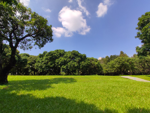 夏日公园草地蓝天白云背景图片