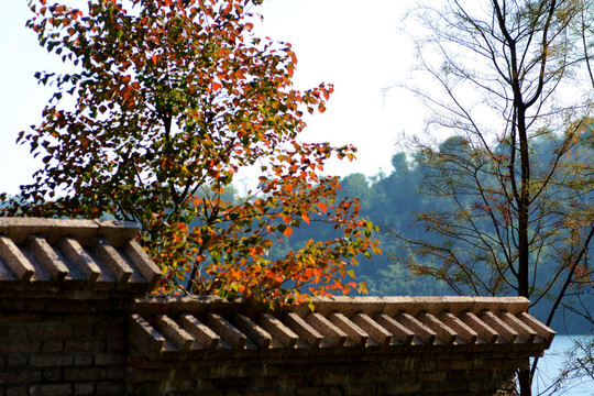 清江白鸭垴风景