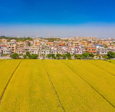 中山市南朗镇崖口村