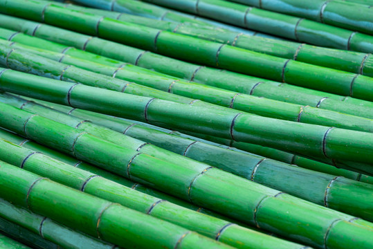 绿色的毛竹竹竿