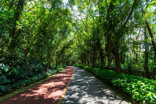 南宁青秀山风景区园林游览步道