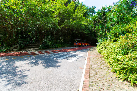 南宁青秀山风景区园林道路