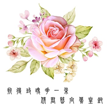 玫瑰花