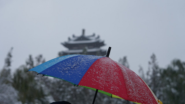 彩色雨伞