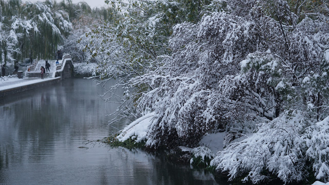 雪景