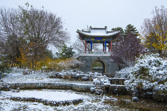 北京园博园太原园雪景