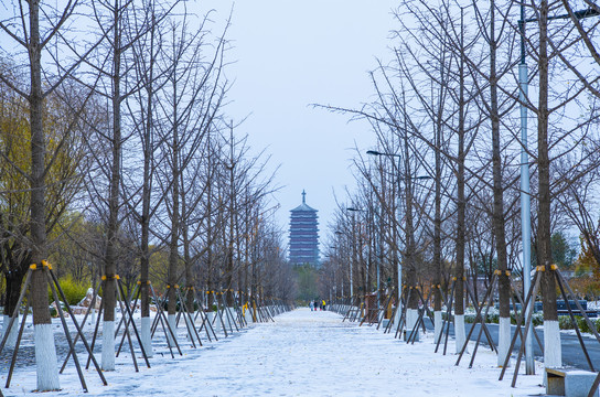 北京园博园雪景