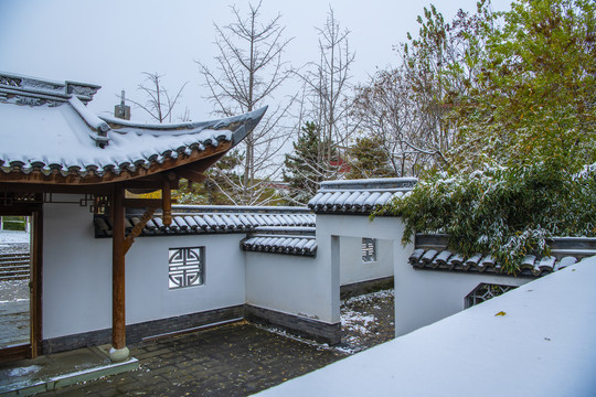 北京园博园重庆园雪景