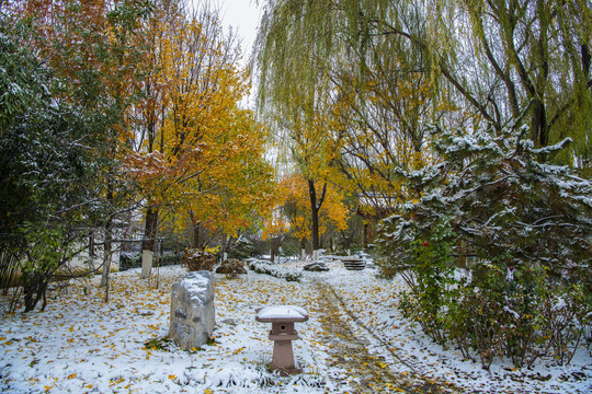 北京园博园重庆园秋色雪景