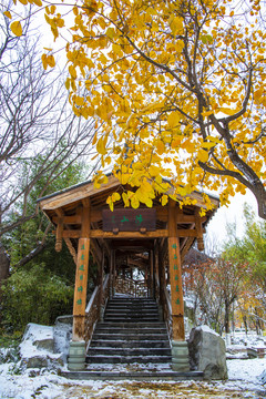 北京园博园重庆园秋色雪景