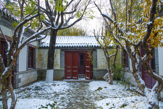 北京园博园济南园雪景