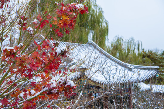 北京园博园北京园雪景