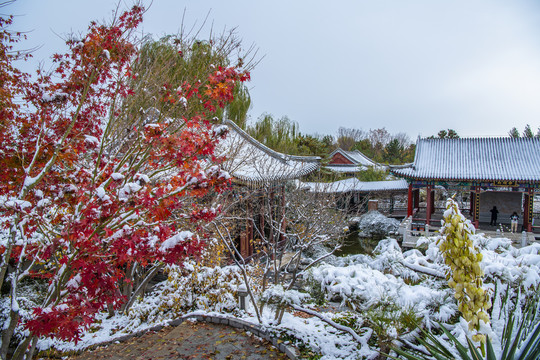 北京园博园北京园雪景