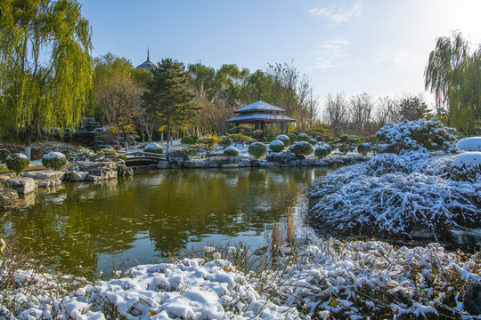 北京园博园梦唐园雪景