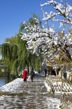 大明湖初雪后美景