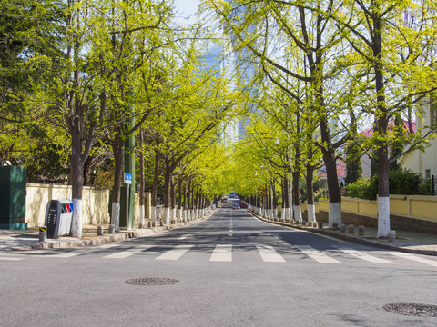 青岛街景