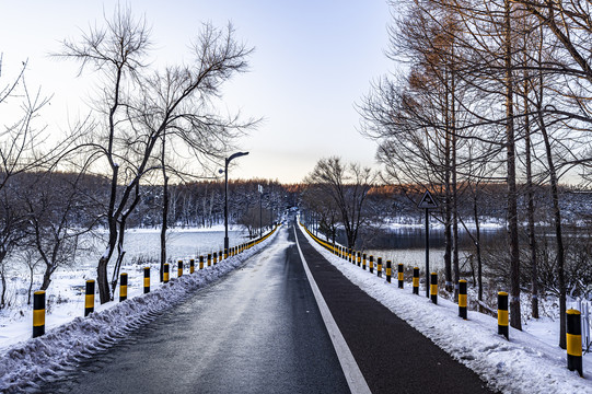 雪后的长春净月潭森林公园风景